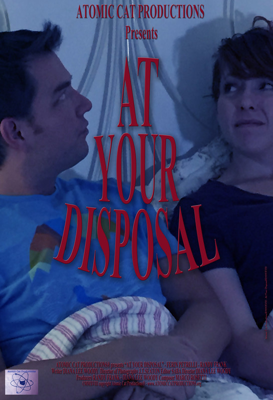 At your disposal poster